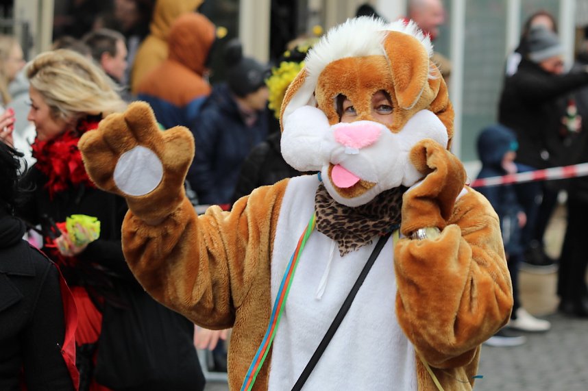 ZUm Karnevalsumzug zog es viele Jecken in die Stadt Bad Langensalza