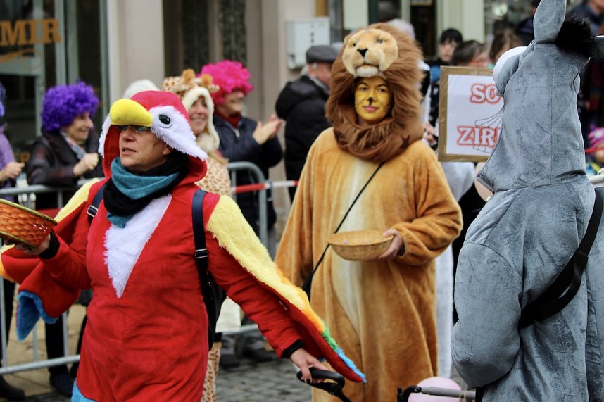 ZUm Karnevalsumzug zog es viele Jecken in die Stadt Bad Langensalza