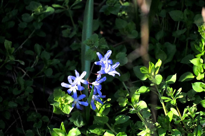 Osterspaziergang im Vorharz