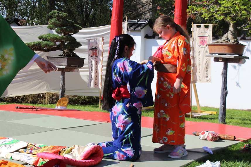 Impressionen vom Hanami 2023 in Bad Langensalza