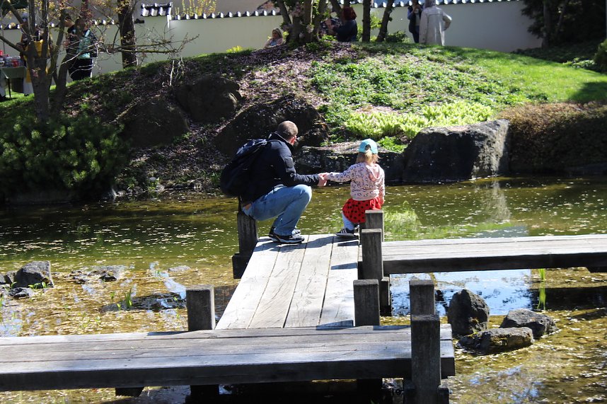 Impressionen vom Hanami 2023 in Bad Langensalza