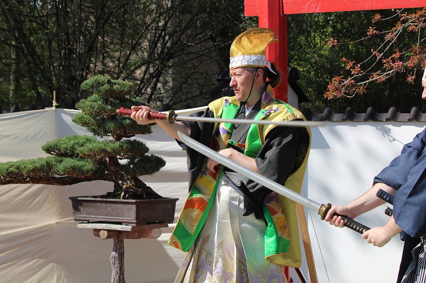 Impressionen vom Hanami 2023 in Bad Langensalza