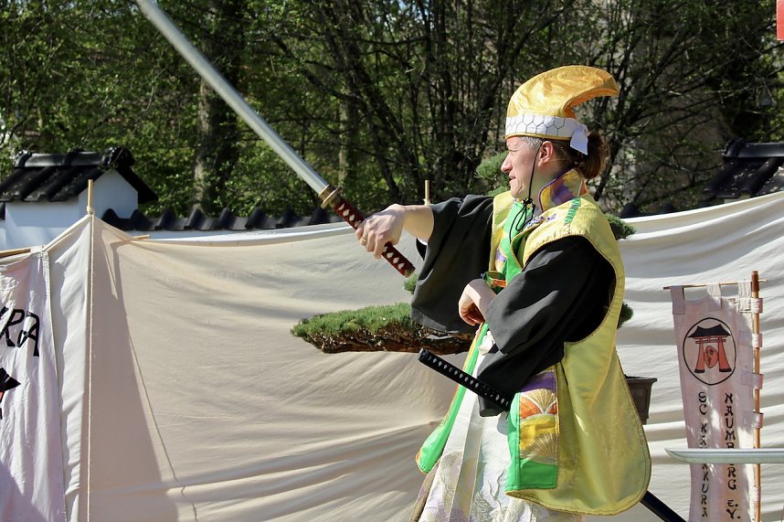 Impressionen vom Hanami 2023 in Bad Langensalza