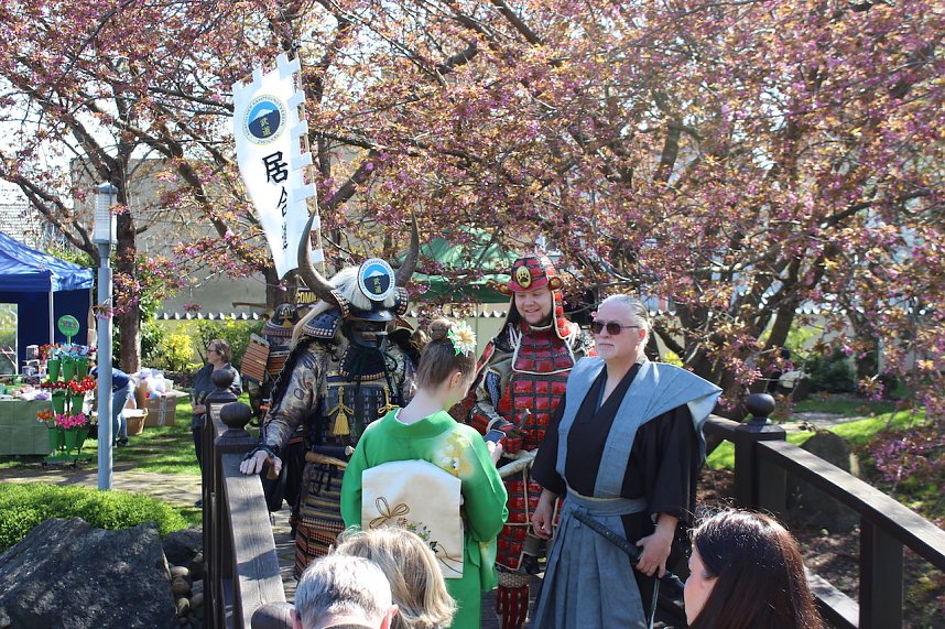 Impressionen vom Hanami 2023 in Bad Langensalza