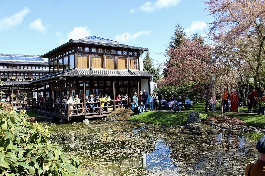 Impressionen vom Hanami 2023 in Bad Langensalza