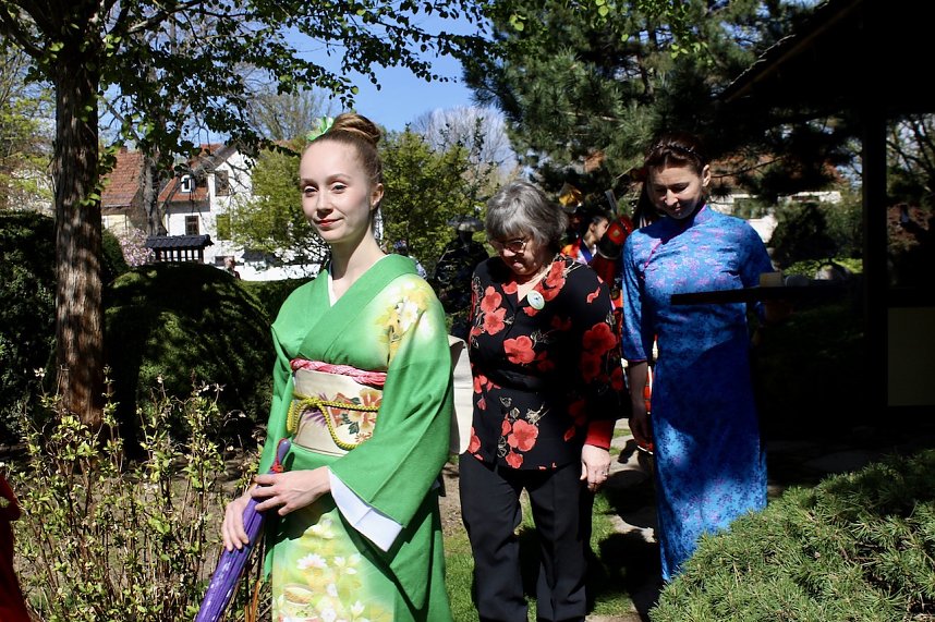 Impressionen vom Hanami 2023 in Bad Langensalza