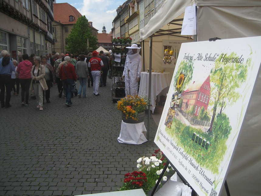 Gr&uuml;nes Innenstadtfest in Bad Langensalza