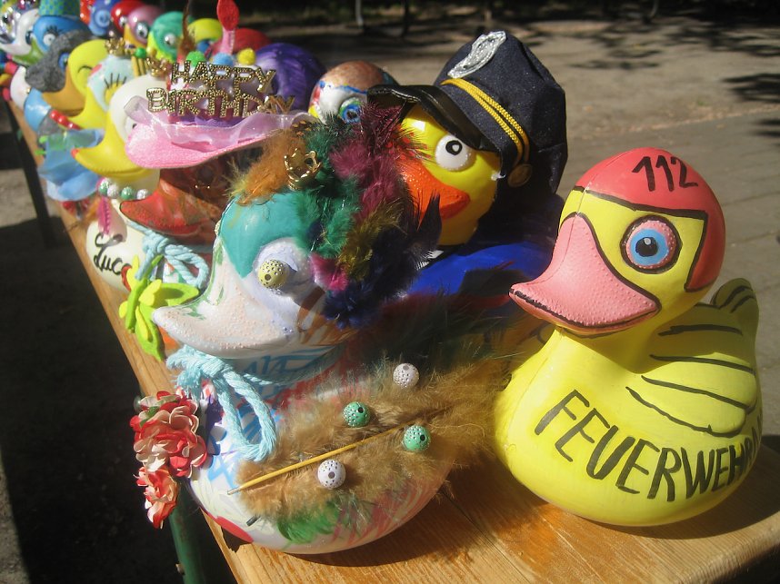 Entenrennen in Bad Langensalza