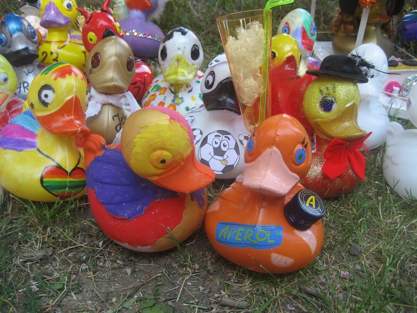 Entenrennen in Bad Langensalza