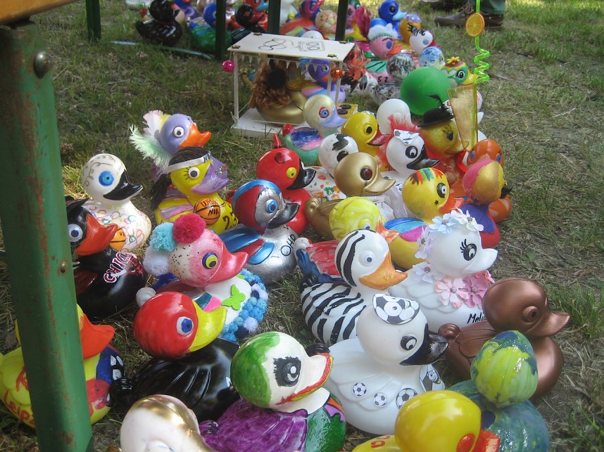 Entenrennen in Bad Langensalza