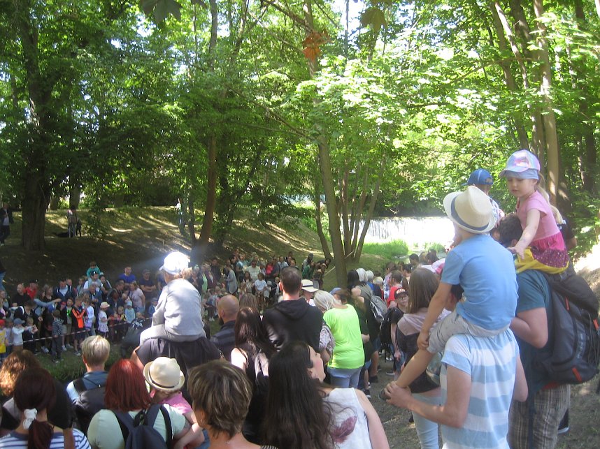 Entenrennen in Bad Langensalza