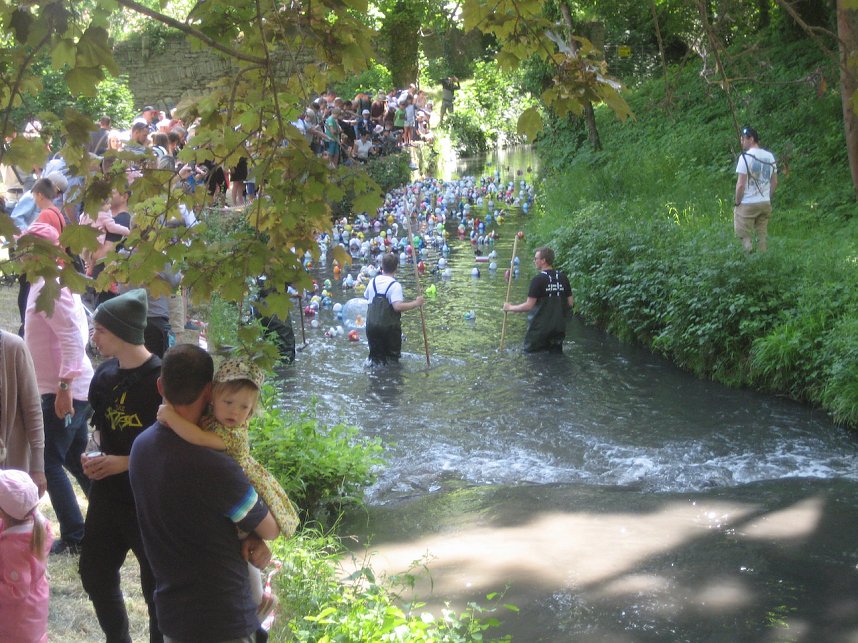 Entenrennen in Bad Langensalza