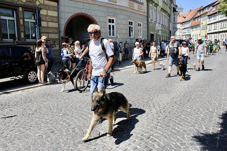 210. Brunnenfest in Bad Langensalza 