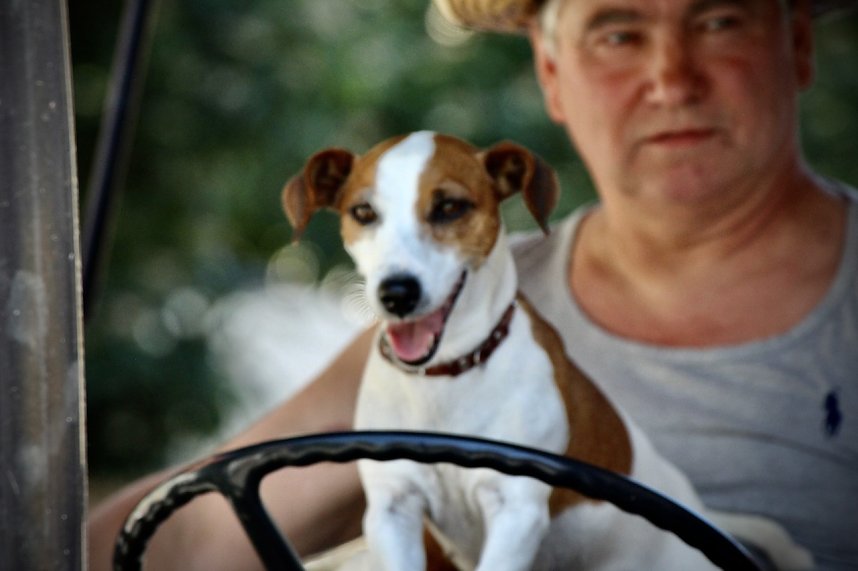 Feierliche Stimmung beim 210. Brunnenfest in Bad Langensalza