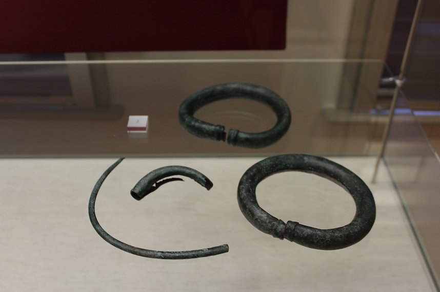 Ausstellungser&ouml;ffnung im Stadtmuseum