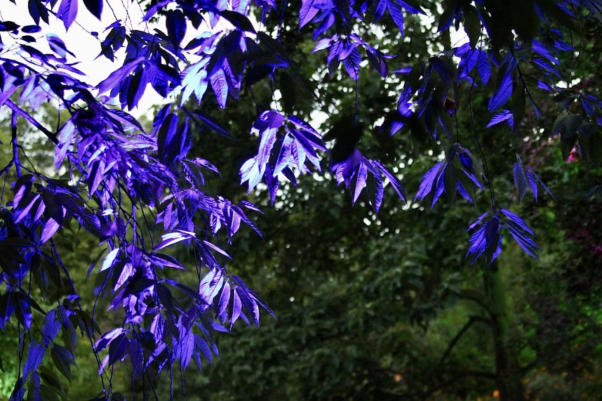 Sommerlaune 2023 in Bad Langensalza