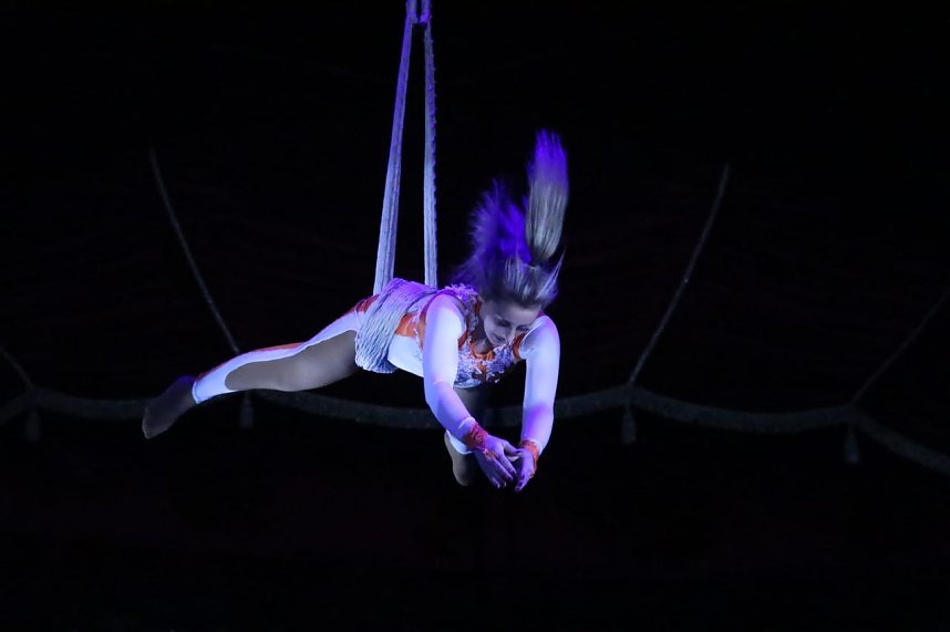 Circus KARL BUCH kommt nach Bad Langensalza