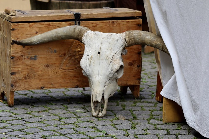 29. Mittelalterfest in Bad Langensalza 2023