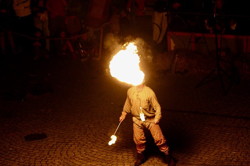 29. Mittelalterfest in Bad Langensalza