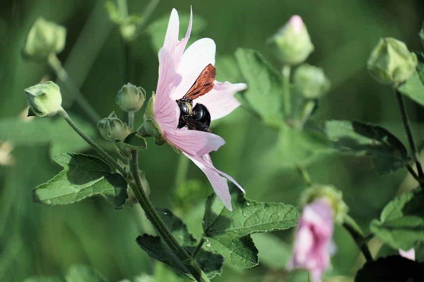 Peter Blei unterwegs auf der Sachsenburg