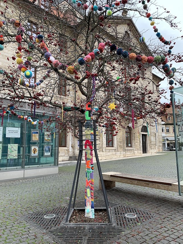 Kunstvolle Wollkreationen schm&uuml;cken die B&auml;ume der Bad Langensalzaer Altstadt