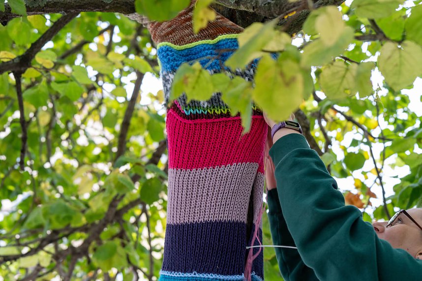 "Verflixt & Zugebommelt!" in der Bad Langensalzaer Innenstadt