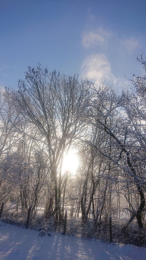 Magie der Wintersonne