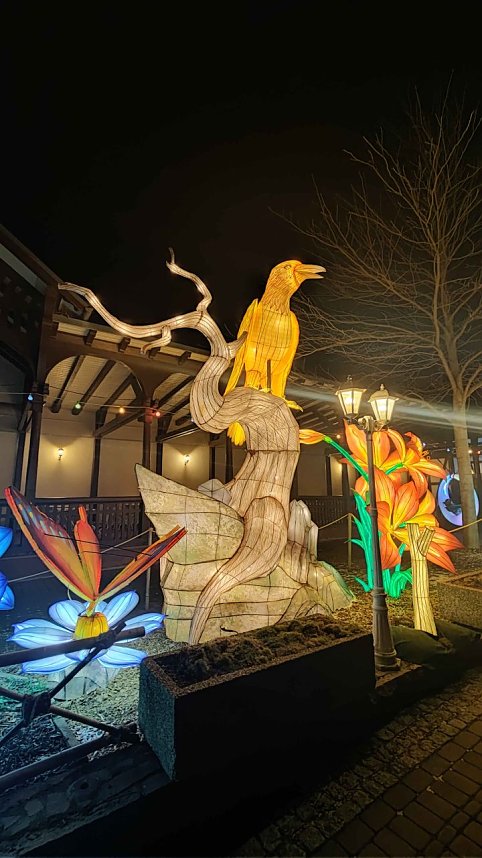 Peter Blei unterwegs in magischen Lichterwelten