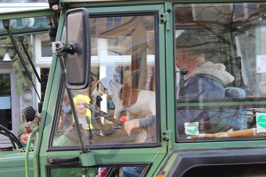 Fr&ouml;hliche Menschen feierten bei strahlendem Sonnenschein den Karnevalsumzug durch Bad Langensalza