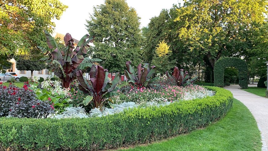 Florale Impressionen aus Bad Langensalza 