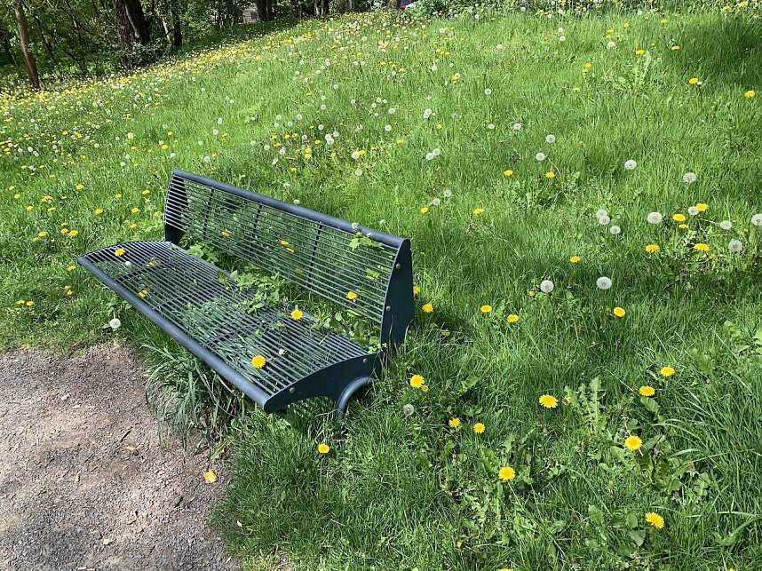 Florale Impressionen aus Bad Langensalza 