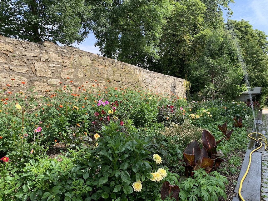 Florale Impressionen aus Bad Langensalza 