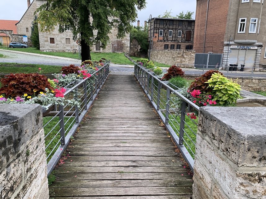 Florale Impressionen aus Bad Langensalza 