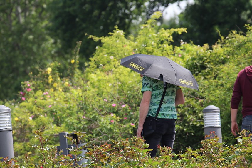 Florale Impressionen aus Bad Langensalza 