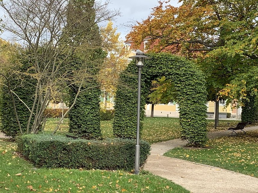 Florale Impressionen aus Bad Langensalza 