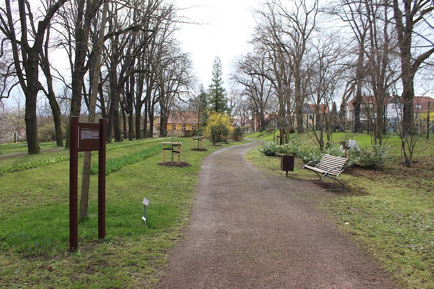 Florale Impressionen aus Bad Langensalza 