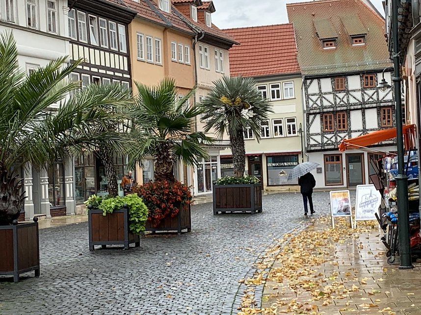 Florale Impressionen aus Bad Langensalza 