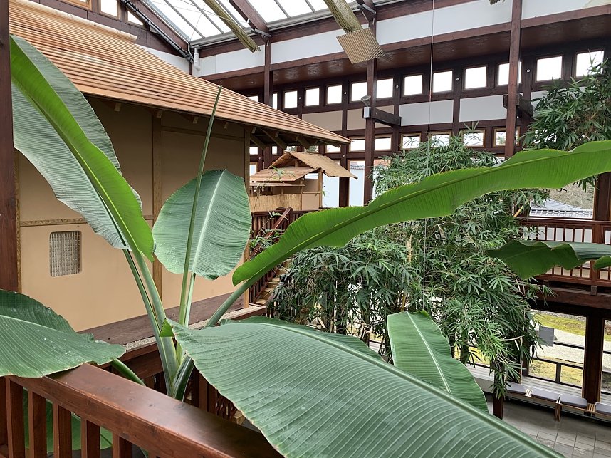 Florale Impressionen aus Bad Langensalza 