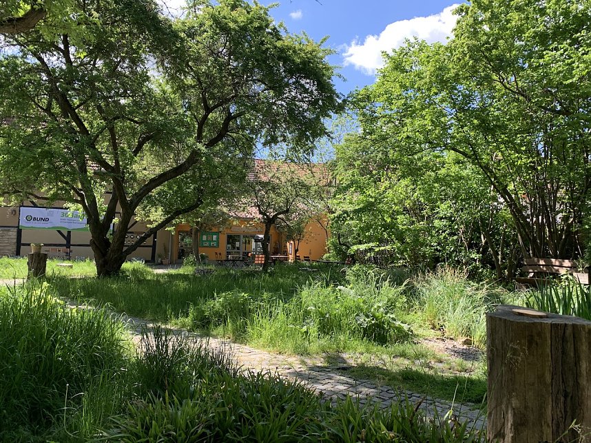 Impressionen aus der Rosenstadt Bad Langensalza