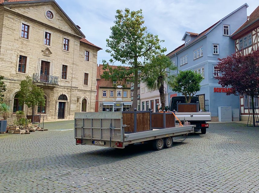Impressionen aus der Rosenstadt Bad Langensalza