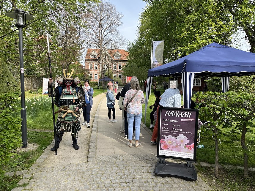 Hanami im Japanischen Garten Bad Langensalza