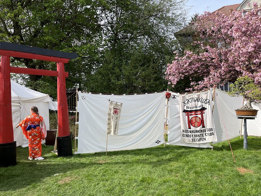 Hanami im Japanischen Garten Bad Langensalza