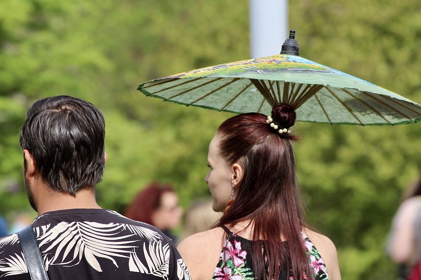Hanami im Japanischen Garten Bad Langensalza