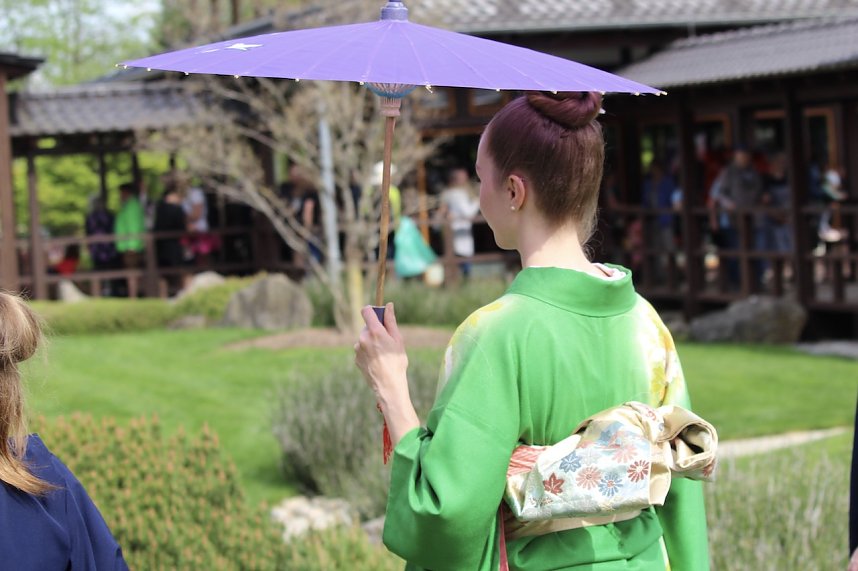 Hanami im Japanischen Garten Bad Langensalza