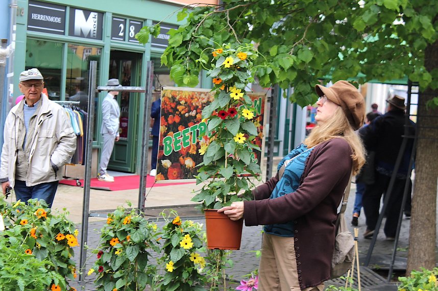 Gr&uuml;nes innenstadtfest in Bad Langensalza 