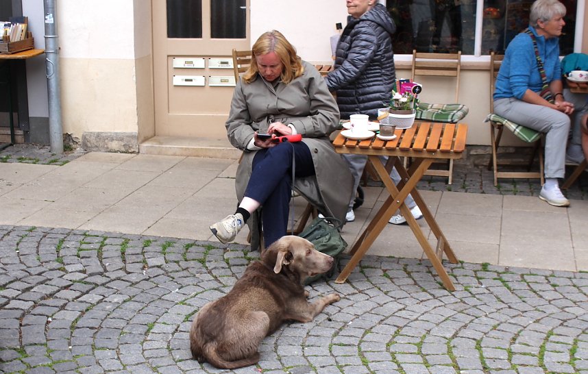 Gr&uuml;nes innenstadtfest in Bad Langensalza 