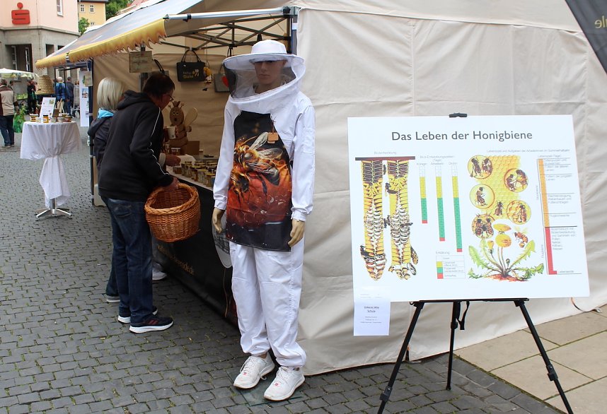 Gr&uuml;nes Innenstadtfest in Bad Langensalza