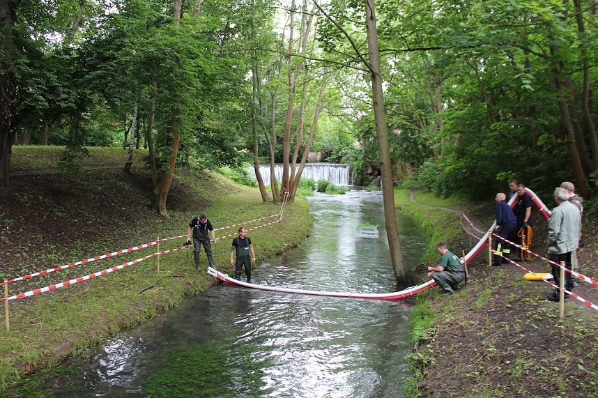 An der Seufzerallee heute Vormittag