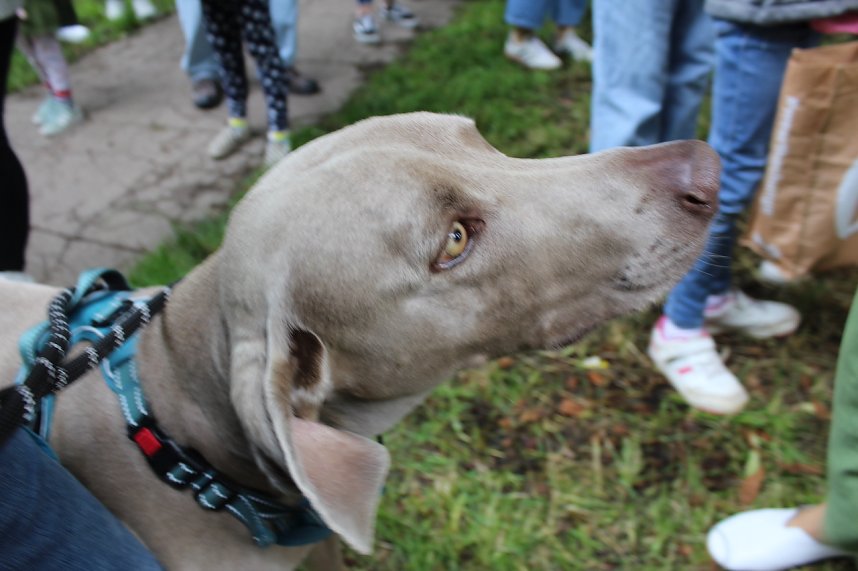 An der Seufzerallee heute Vormittag
