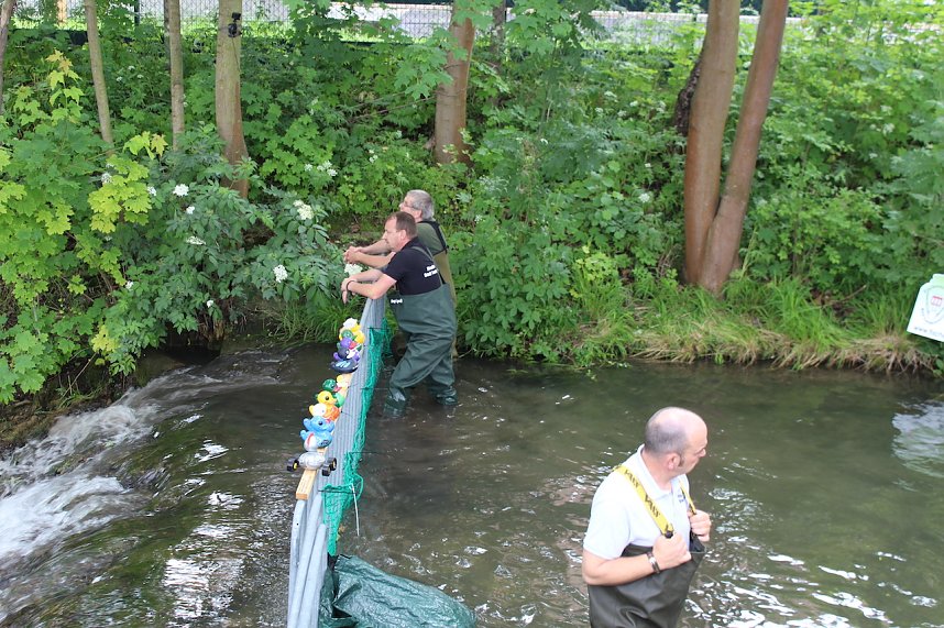 Beim Zieleinlauf im Riedgraben